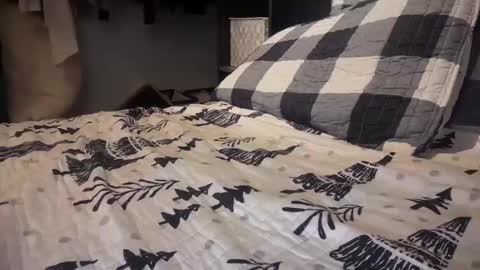 gumbywanna online show from December 2024 12:09:02 AM