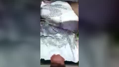 gunzguy online show from August 2026 07:16:02 PM