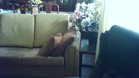 gutobhz249564 online show from March 2025 06:07:01 PM