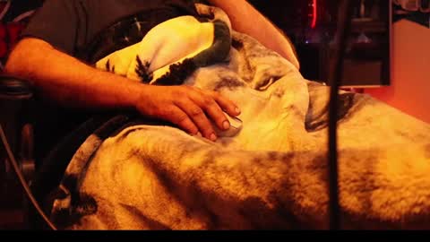 Snapshot of h0tttsteel chatting on December 2024 10:08:02 AM h0tttsteel online show from December 2024 10:08:02 AM