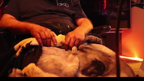 Snapshot of h0tttsteel chatting on December 2024 01:12:02 PM h0tttsteel online show from December 2024 01:12:02 PM