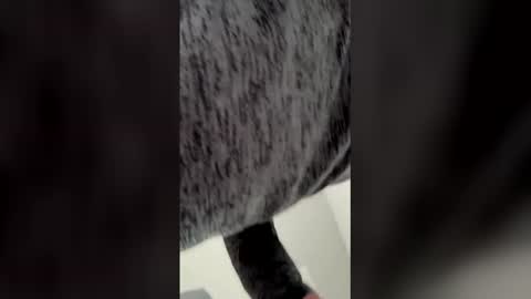 Ricko online show from March 2026 05:53:01 PM