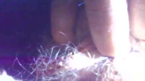 Snapshot of hagridthehorrible chatting on November 2025 11:23:02 AM hagridthehorrible online show from November 2025 11:23:02 AM