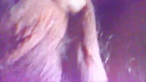 Snapshot of hagridthehorrible chatting on December 2025 11:30:02 AM hagridthehorrible online show from December 2025 11:30:02 AM