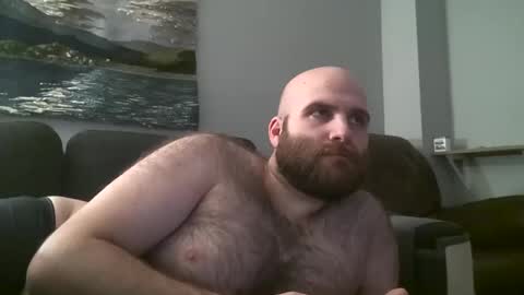Snapshot of hairiestbear chatting on January 2025 08:53:02 AM Hairiest Bear online show from January 2025 08:53:02 AM