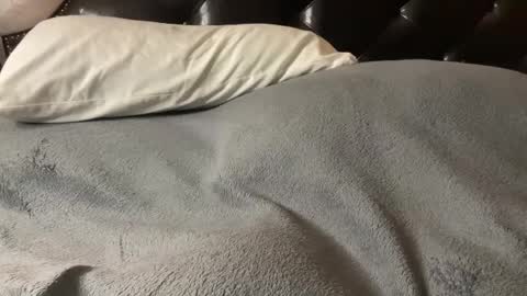 Snapshot of hairy_mexi chatting on March 2025 11:54:01 PM J M online show from March 2025 11:54:01 PM