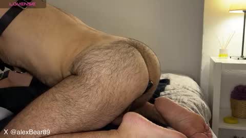 hairyarabbear online show from September 2025 09:48:02 PM
