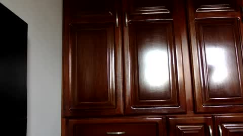 Snapshot of hairyweedman chatting on January 2025 07:44:02 PM NN420 online show from January 2025 07:44:02 PM