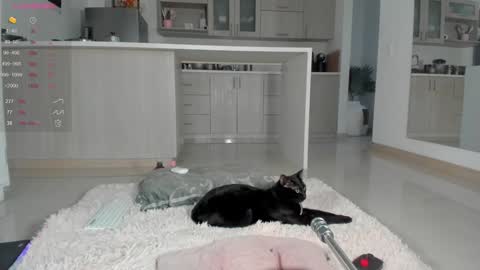 insta Laupalacio777Next stream 01th December online show from December 2024 10:52:02 PM