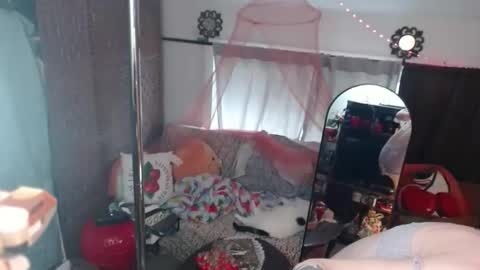 halovalentine online show from May 2026 04:15:02 PM
