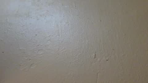 hamhead71 online show from January 2025 06:52:01 PM