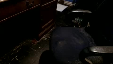 Snapshot of hammerhead973 chatting on December 2025 08:17:01 PM hammerhead973 online show from December 2025 08:17:01 PM