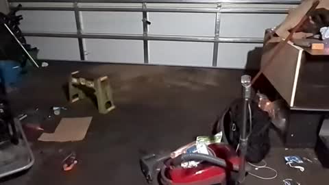 handsomerob42 online show from November 2025 06:57:01 AM