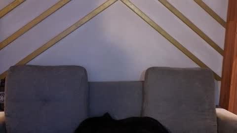 Snapshot of hanna_gatess chatting on November 2025 12:04:02 PM ANA online show from November 2025 12:04:02 PM