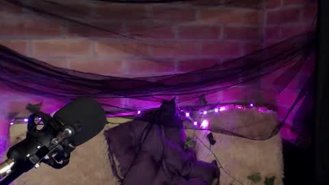 Hannah online show from December 2025 02:05:02 AM