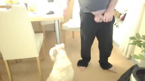 harald1234 online show from February 2026 01:56:02 PM