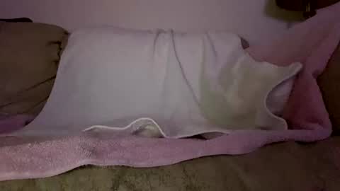 Snapshot of hardcock2622 chatting on February 2026 06:51:01 AM Slim West Cox online show from February 2026 06:51:01 AM