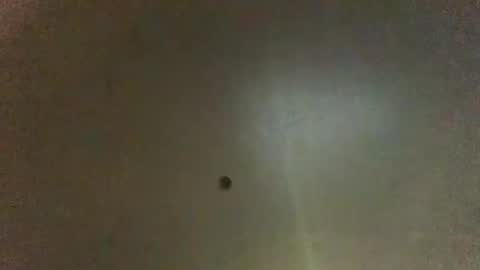 For You online show from March 2025 08:52:01 AM