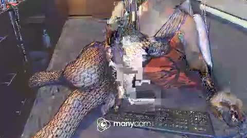 Snapshot of hardfucking_mistress chatting on March 2025 12:48:01 PM Irina online show from March 2025 12:48:01 PM