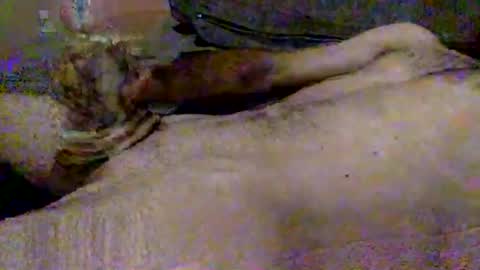 Snapshot of hardiebois chatting on November 2025 09:22:01 AM Micheal online show from November 2025 09:22:01 AM