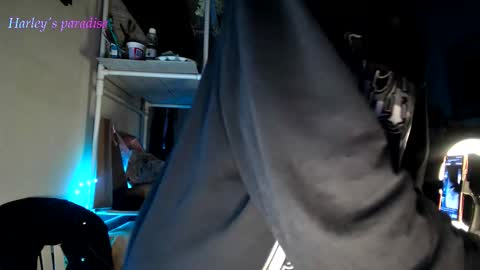 Snapshot of harleyparadise chatting on November 2025 07:24:02 AM 900 am to 300 pm - GTM 5 Weekdays online show from November 2025 07:24:02 AM