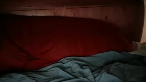 Snapshot of haroldhaller chatting on March 2025 01:01:02 AM Harry H online show from March 2025 01:01:02 AM