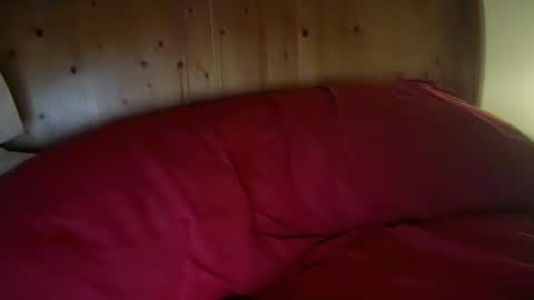 Snapshot of haroldhaller chatting on January 2026 01:38:02 PM Harry H online show from January 2026 01:38:02 PM