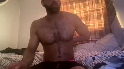 harry786167 online show from April 2026 06:13:02 PM