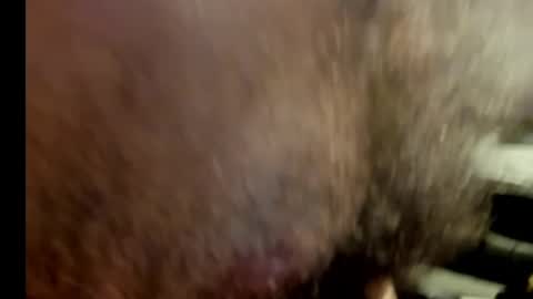 harry_banana online show from January 2025 10:56:01 PM