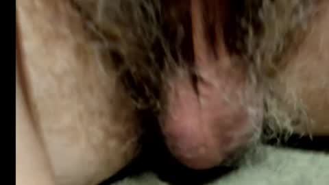 harry_banana online show from February 2025 08:50:01 AM