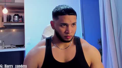 Harry Zandes online show from February 2025 04:22:01 AM