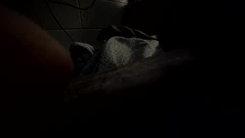 J Hart online show from January 2025 10:22:01 AM