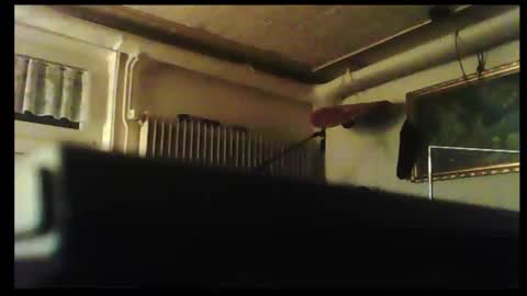 hot n  nasty online show from December 2024 03:24:02 PM