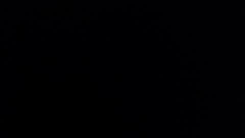 Nicole online show from March 2025 04:17:02 AM