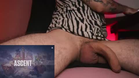 More content   2   online show from March 2026 12:03:02 AM