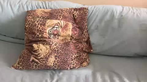 Snapshot of havedream1m chatting on February 2026 10:08:02 AM havedream1m online show from February 2026 10:08:02 AM