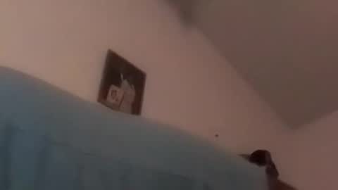 Snapshot of hbdj2164 chatting on December 2024 10:34:01 AM hbdj2164 online show from December 2024 10:34:01 AM