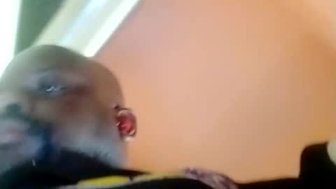 Snapshot of hbdj2164 chatting on February 2025 03:40:01 PM hbdj2164 online show from February 2025 03:40:01 PM