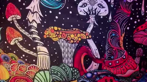   online show from February 2025 07:42:02 AM