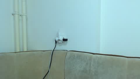 helen_adams_ online show from December 2024 01:02:01 PM