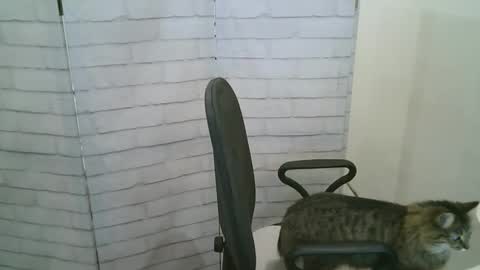 Snapshot of helen_xi chatting on January 2026 05:24:02 AM Helen online show from January 2026 05:24:02 AM