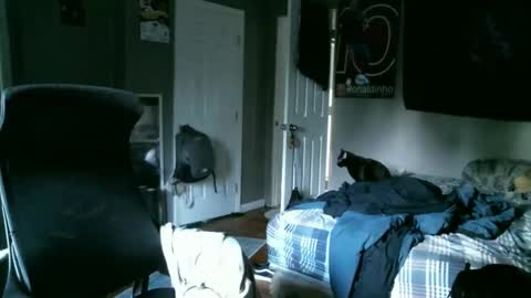 Snapshot of hellothereimcoolyo chatting on April 2026 11:48:02 AM longhairbeardedguy online show from April 2026 11:48:02 AM