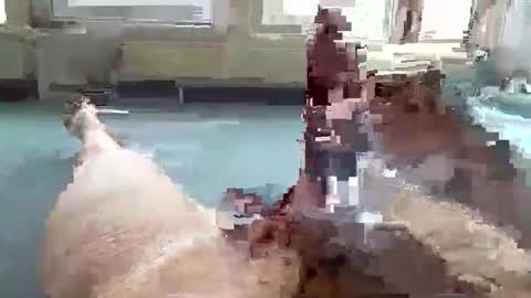 hera44 online show from October 2025 10:57:02 AM