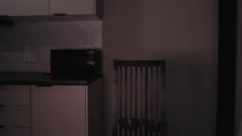 Snapshot of herbal_helpmepls chatting on January 2025 03:00:02 PM dirty Diana online show from January 2025 03:00:02 PM