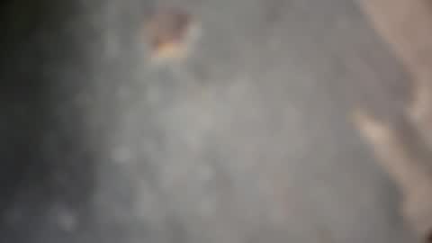 herletigre12345 online show from October 2025 05:32:02 AM