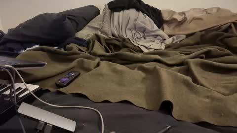 public pervert online show from November 2025 02:00:02 AM