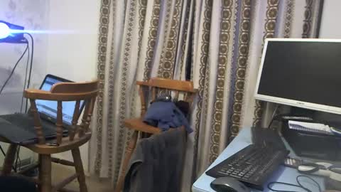 Snapshot of hermeneutika chatting on December 2024 07:06:02 AM mature online show from December 2024 07:06:02 AM