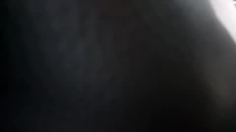 heydude56 online show from February 2025 09:49:02 PM