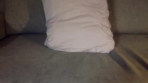 fit uk decorator online show from November 2025 08:42:02 PM