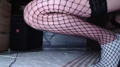 Snapshot of hibo66 chatting on December 2025 03:11:02 AM InMyAss online show from December 2025 03:11:02 AM